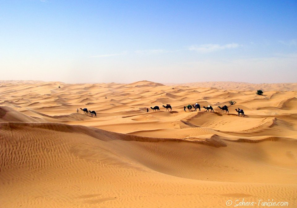 12 jours à pied dans le désert tunisien – Reportage
