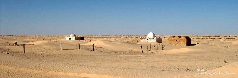 Une journée au marabout dans le désert tunisien