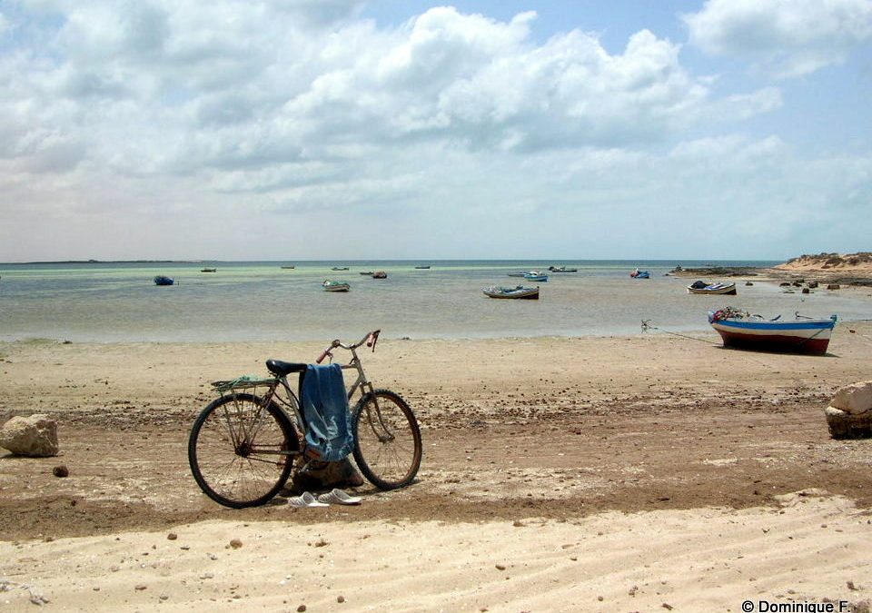 D&rsquo;une autre amoureuse de la Tunisie…